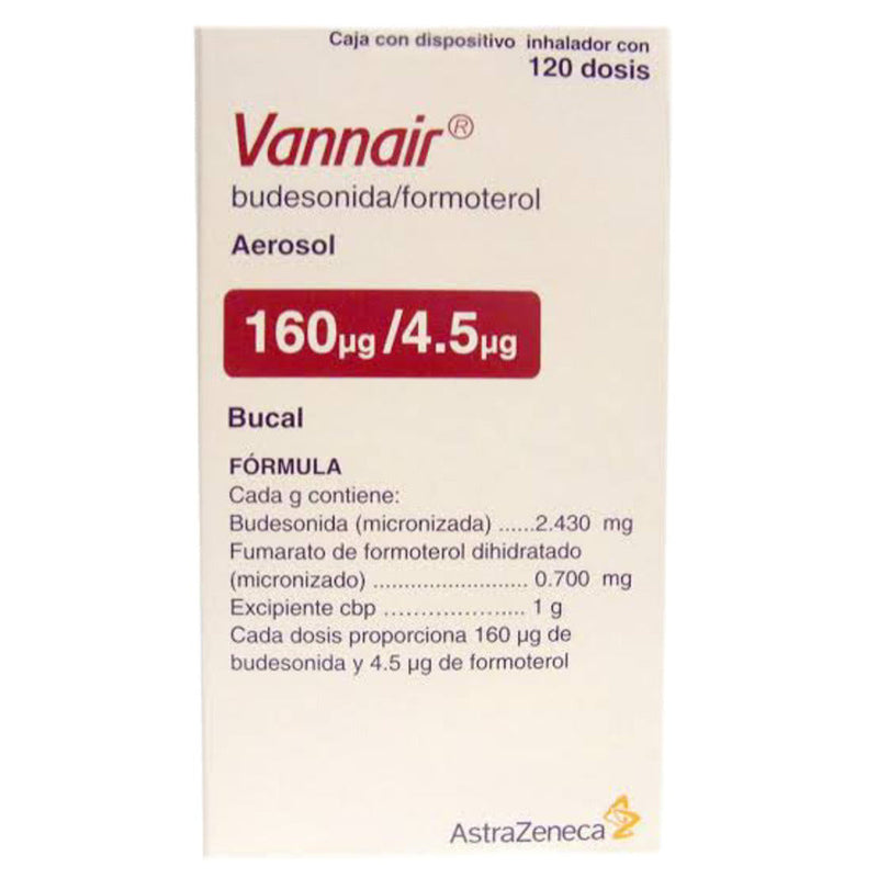 Vannair aerosolucion 120 160/4.5mg