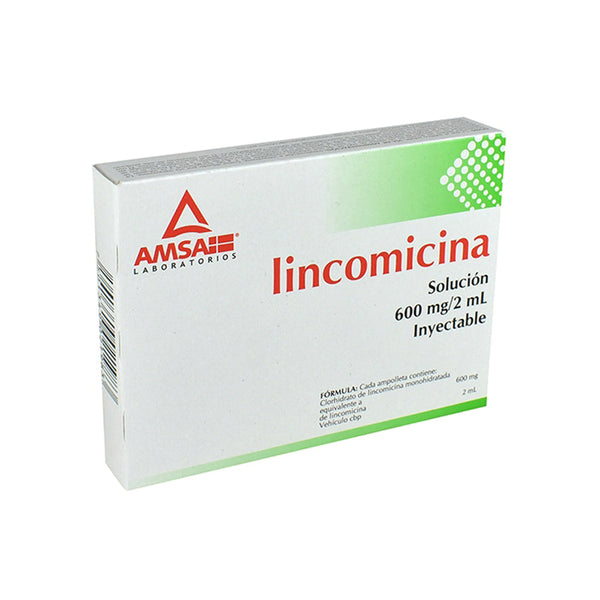 Lincomicina 600 mg /2 ml ampolletas con 6 (a) (amsa)