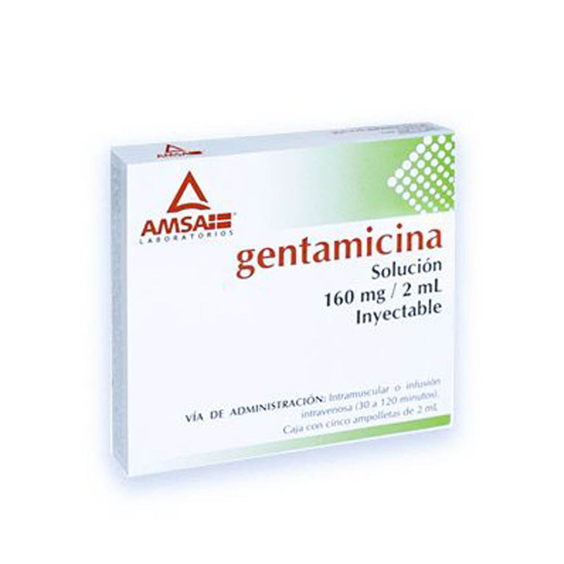 Gentamicina 160 mg./2 ml. ampolletas con 5 (amsa)